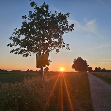 Ferienwohnung Birkenstrasse Ihlow  外观 照片
